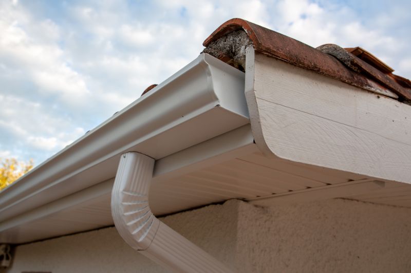 Gutter Inspection
